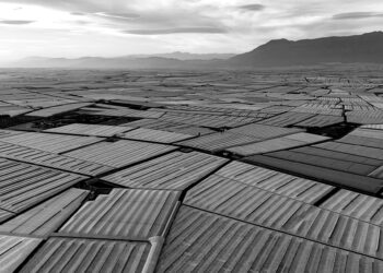 Visible from space: Spain’s greenhouse sea reshapes global agriculture