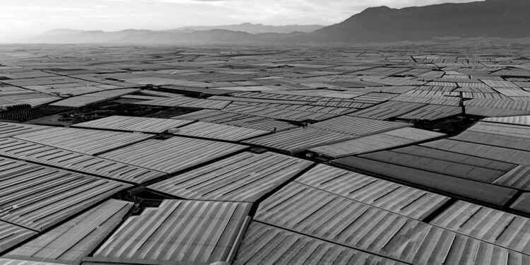 Visible from space: Spain’s greenhouse sea reshapes global agriculture
