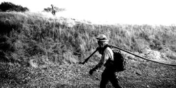 Humanity heating the planet faster than ever, new study finds