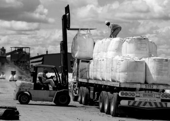 Africa needs more than export bans to unlock critical minerals value