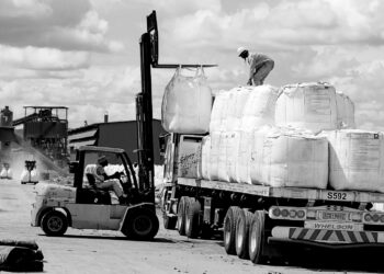 Africa’s mineral strategy needs more than export bans to unlock value