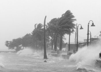 OPEC Fund strengthens Caribbean partnerships at IMF–World Bank meetings