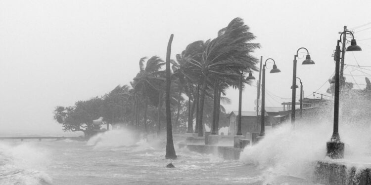 OPEC Fund strengthens Caribbean partnerships at IMF–World Bank meetings