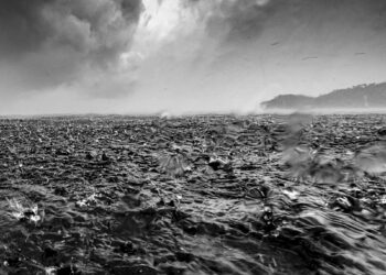 Atlantic current collapse risk higher than previously estimated