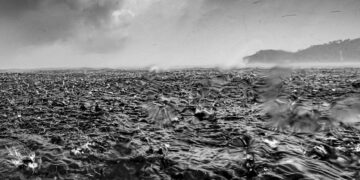 Atlantic current collapse risk higher than previously estimated