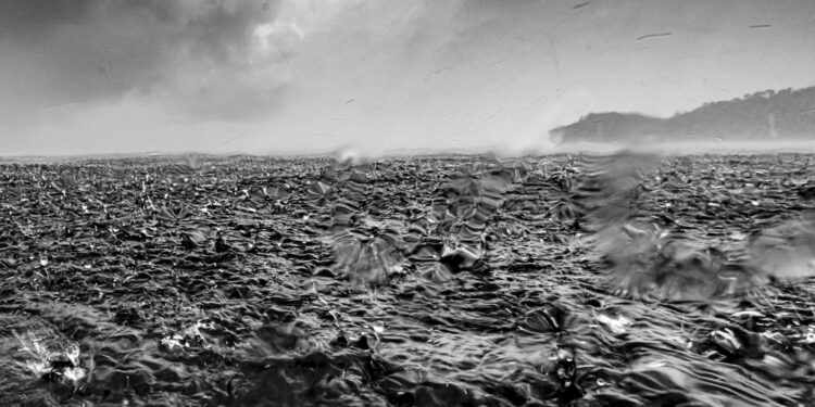 Atlantic current collapse risk higher than previously estimated