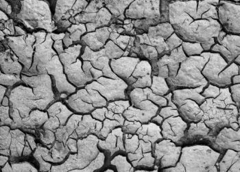 Extreme heatwaves breach human limits as emerging markets face rising risks