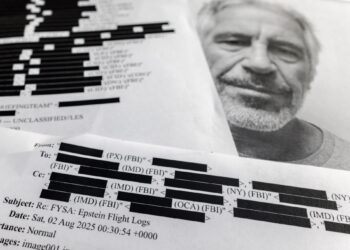 Call for independent audit of Epstein files intensifies