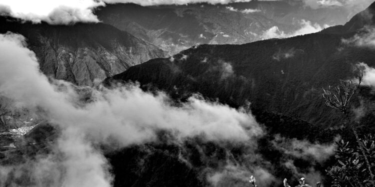 Global roadmap seen as key to halting deforestation