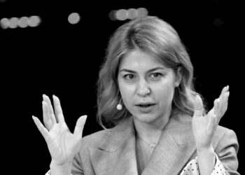 Heroic portrait of Ukraine’s EU bid falls short on rigour