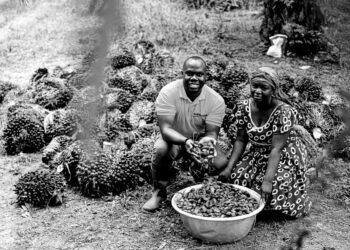 Can Africa expand palm oil without repeating Asia’s mistakes?