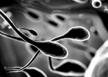 India prepares reforms as Sitharaman warns of AI risks and global uncertainty