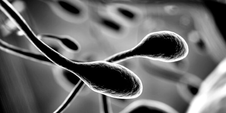 India prepares reforms as Sitharaman warns of AI risks and global uncertainty