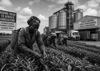 Africa pushes for fairer agricultural trade as leaders call for value-chain transformation