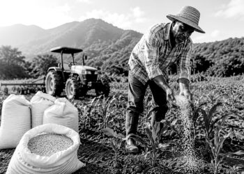 Jamaica moves to shield farmers from fertiliser shock