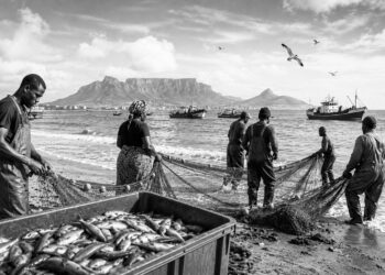 Africa takes centre stage in shaping the future of the world’s oceans