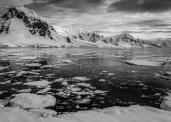 Antarctica’s disappearing sea ice raises fresh alarm for global climate