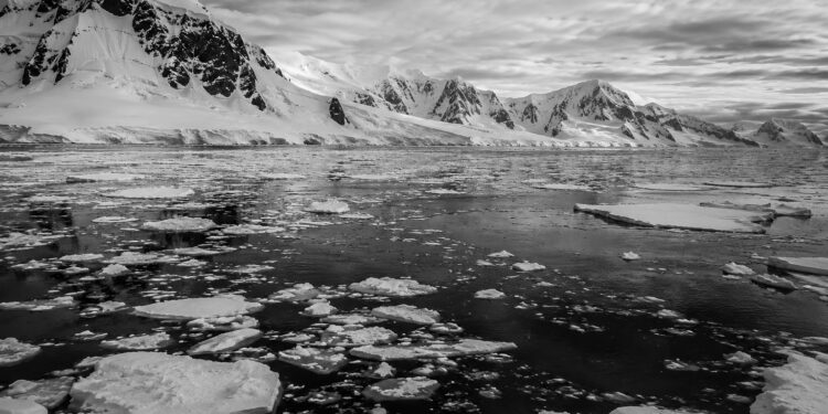 Antarctica’s disappearing sea ice raises fresh alarm for global climate