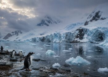 Record Antarctic winter temperatures raise fears over accelerating climate breakdown