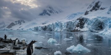 Record Antarctic winter temperatures raise fears over accelerating climate breakdown