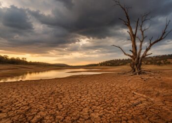 El Niño set to return, raising concerns for hotter and drier Australia