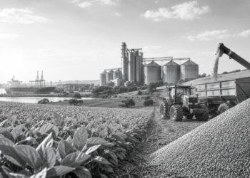 Brazilian agribusiness giant Amaggi makes rural notes debut