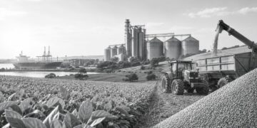 Brazilian agribusiness giant Amaggi makes rural notes debut
