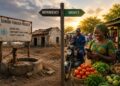 1. From aid to access