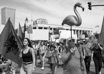 Albania is not for sale: Tirana stands against Trump-linked luxury resort
