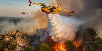 Fire bombers battle inferno as iconic Fontainebleau forest burns near Paris
