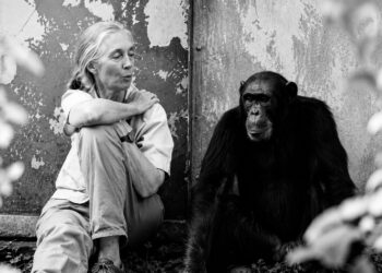 On this day in 1960: British ethologist Jane Goodall first arrived at what became Gombe Stream National Park in Tanzania