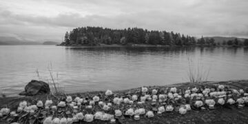 On this day in 2011: Terrorist attacks on Oslo and the island of Utøya in Norway resulted in the deaths of 77 people