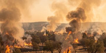 Wildfires force thousands to flee as southern Europe burns