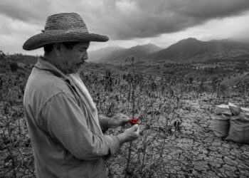 A powerful El Niño raises the climate bill for emerging markets