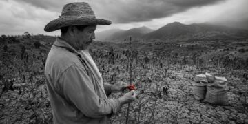 A powerful El Niño raises the climate bill for emerging markets