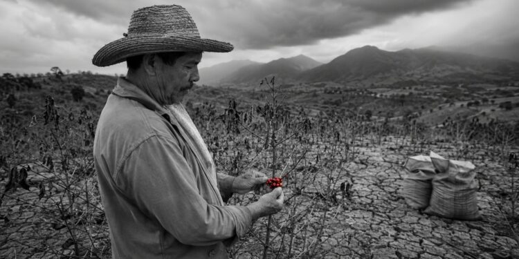 A powerful El Niño raises the climate bill for emerging markets