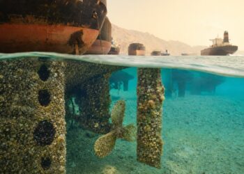 Stranded Hormuz ships could become global carriers of invasive species