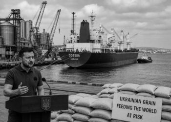 Zelenskyy warns Egypt that Black Sea attacks threaten vital food supplies